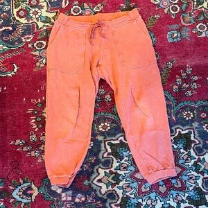 Jungmaven Rockaway sweatpants in Rooibos color size Men’s medium